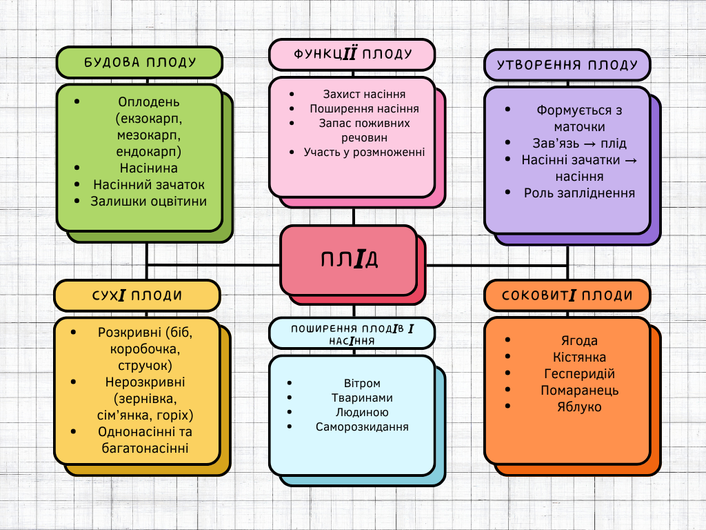 Colorful Doodle Business Mind Map 