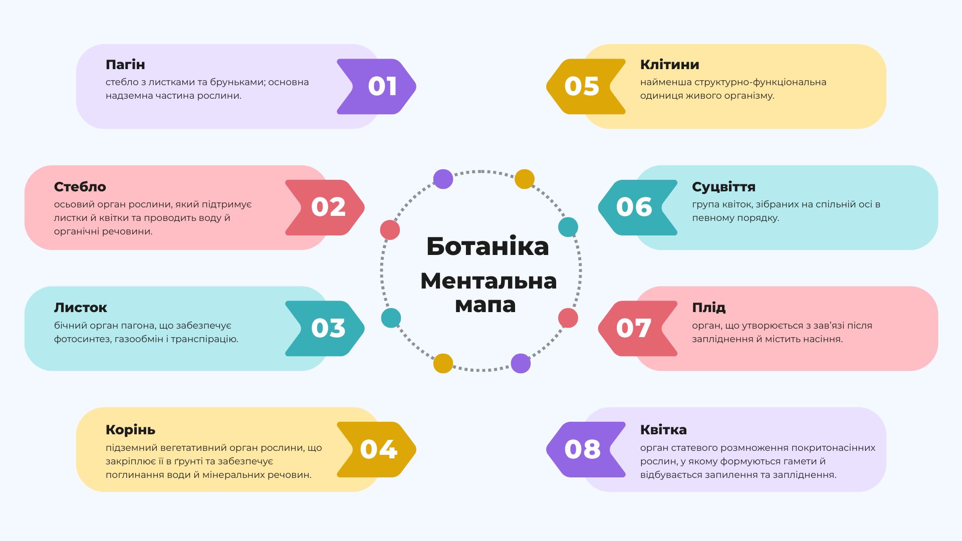 Colourful Modern Infographic Mind Map Presentation