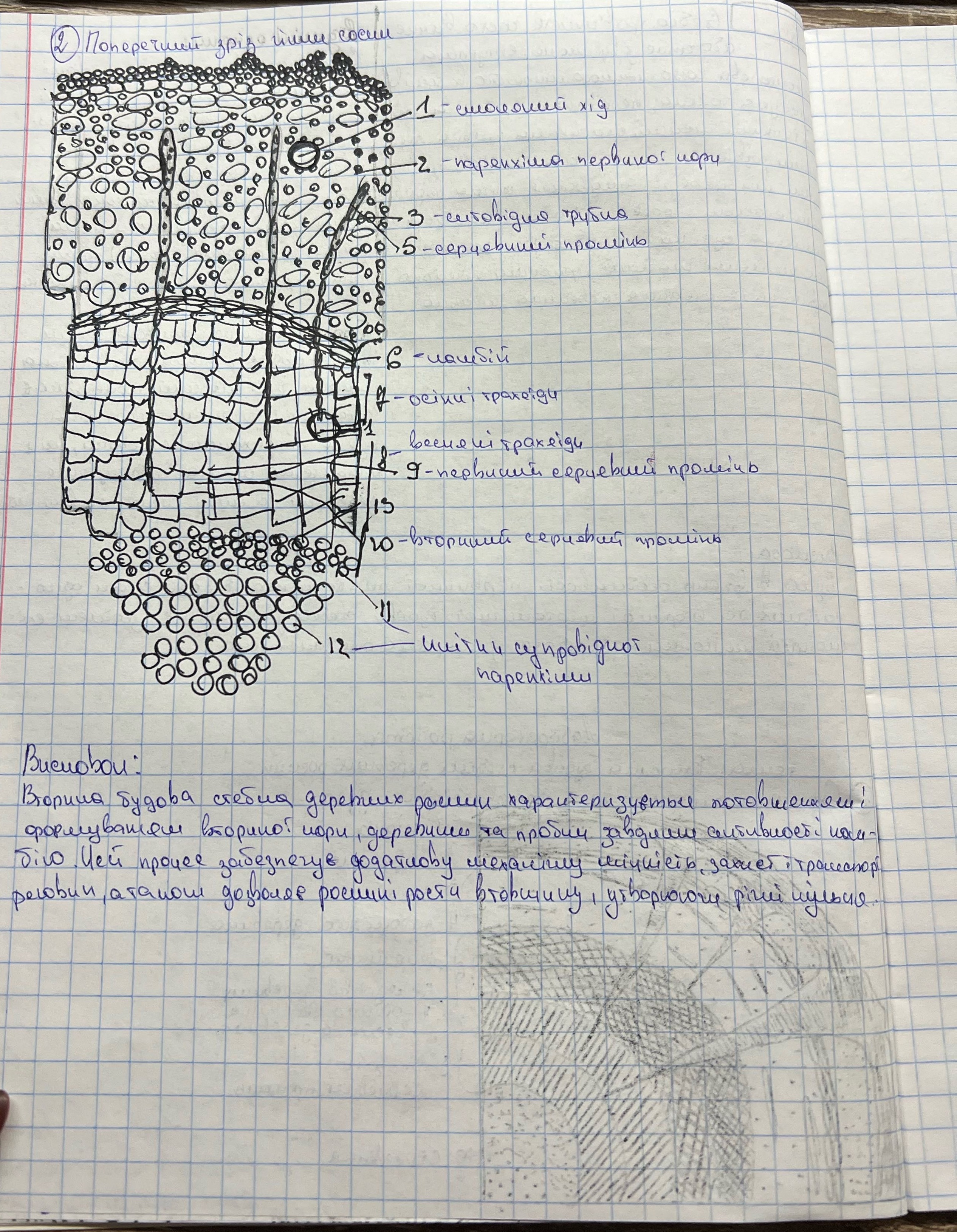 cdv photo 1764093845 20251125200405