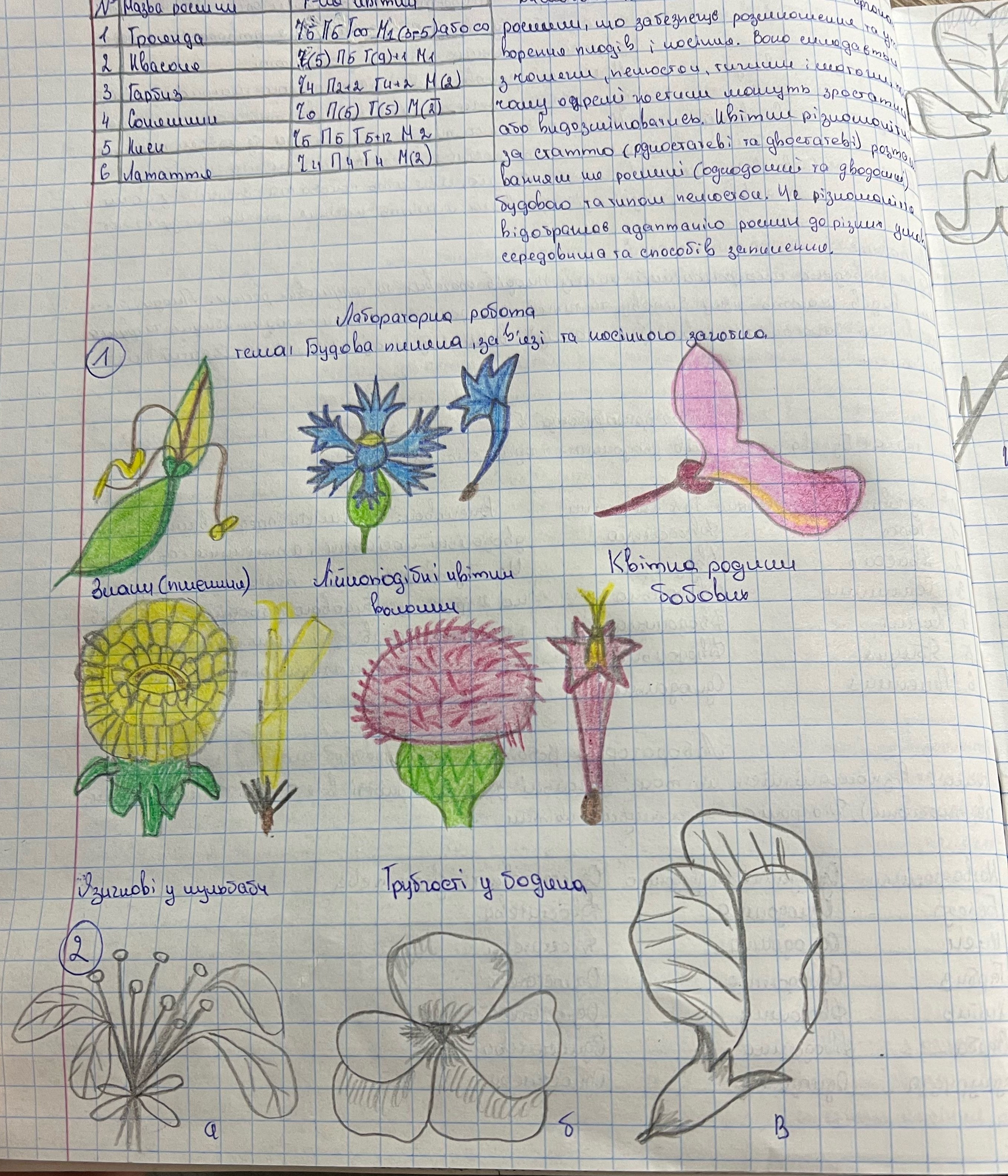 cdv photo 1765416777 20251211033257