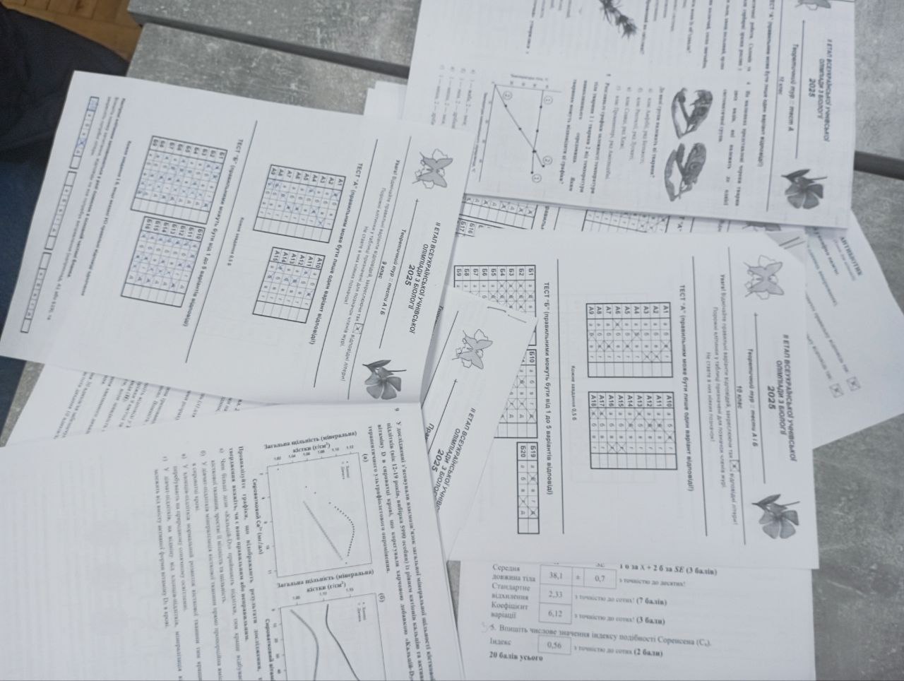 photo 5328138206546956155 y