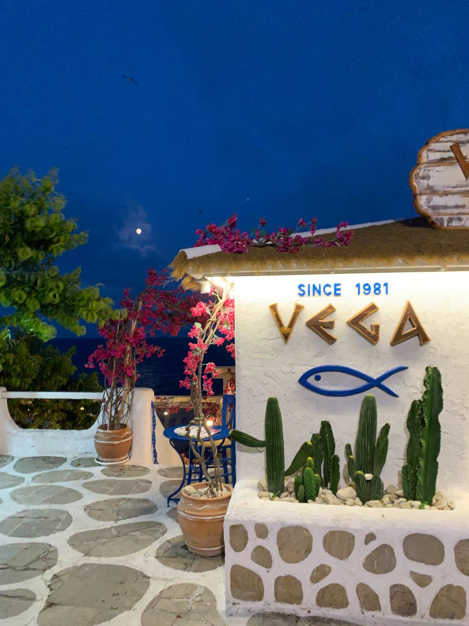 photo 2025 07 29 17 16 48