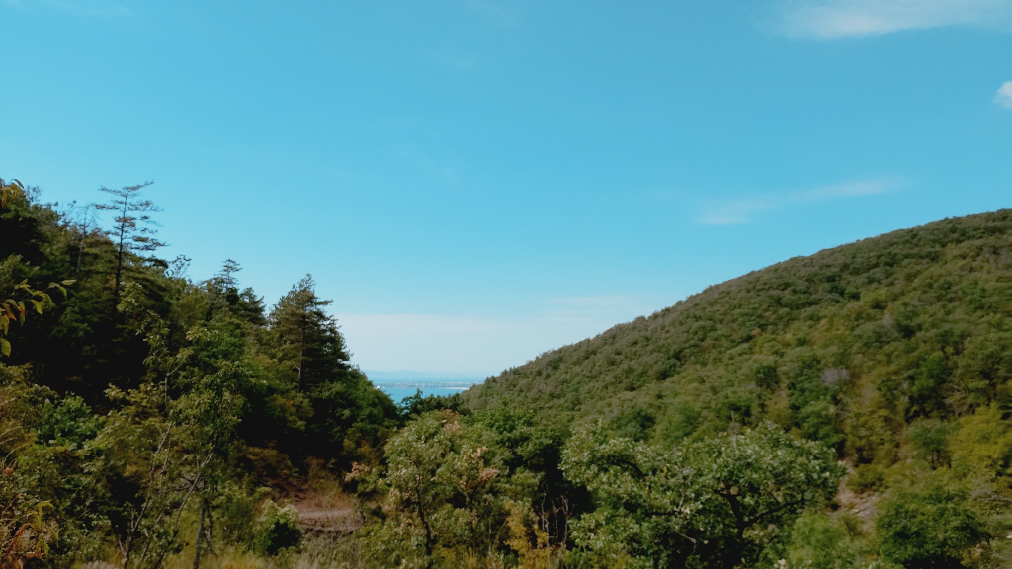 photo 2025 08 20 14 11 16