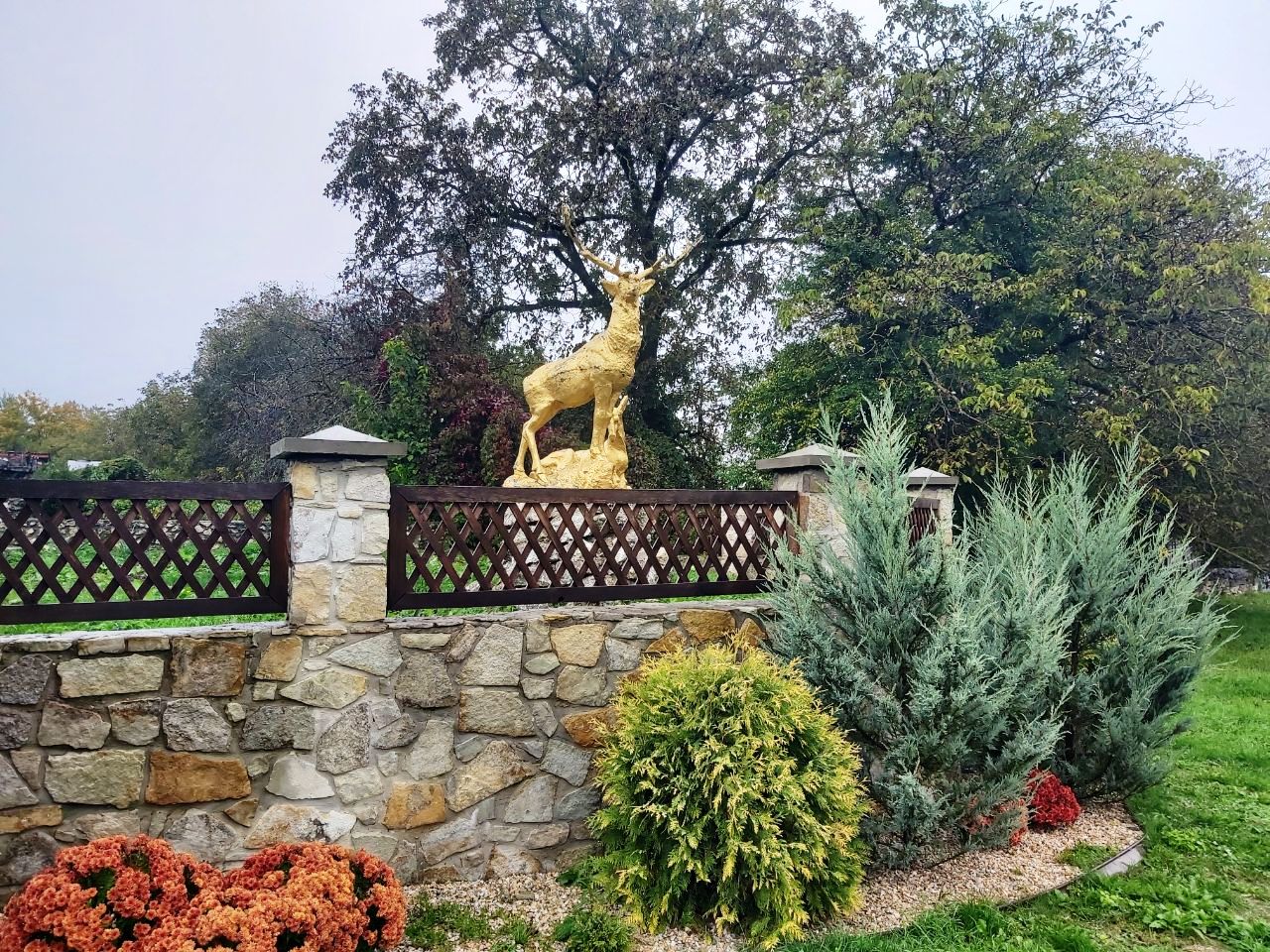 photo 2025 10 09 15 49 43 2