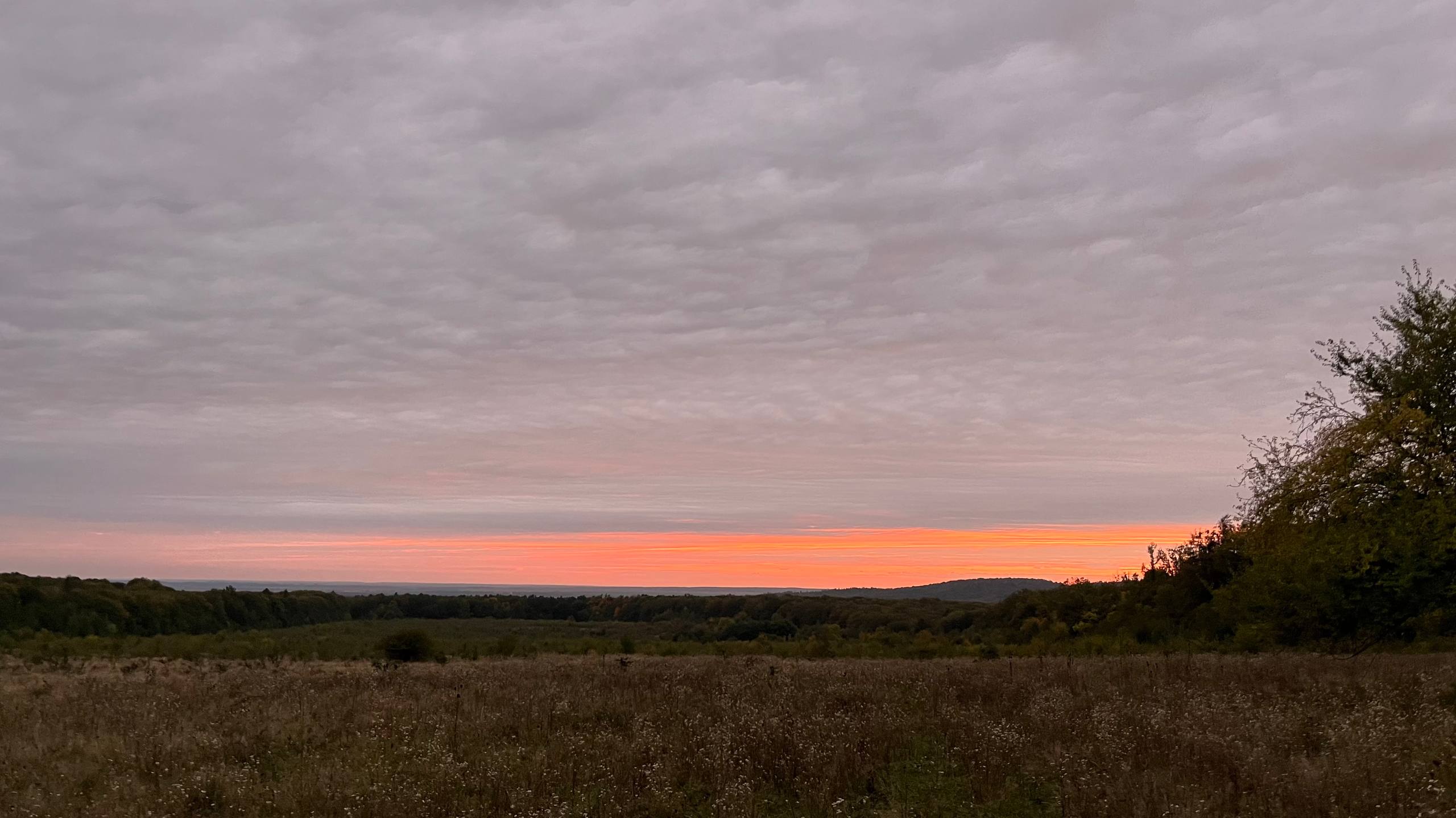 photo 2025 10 12 14 56 36