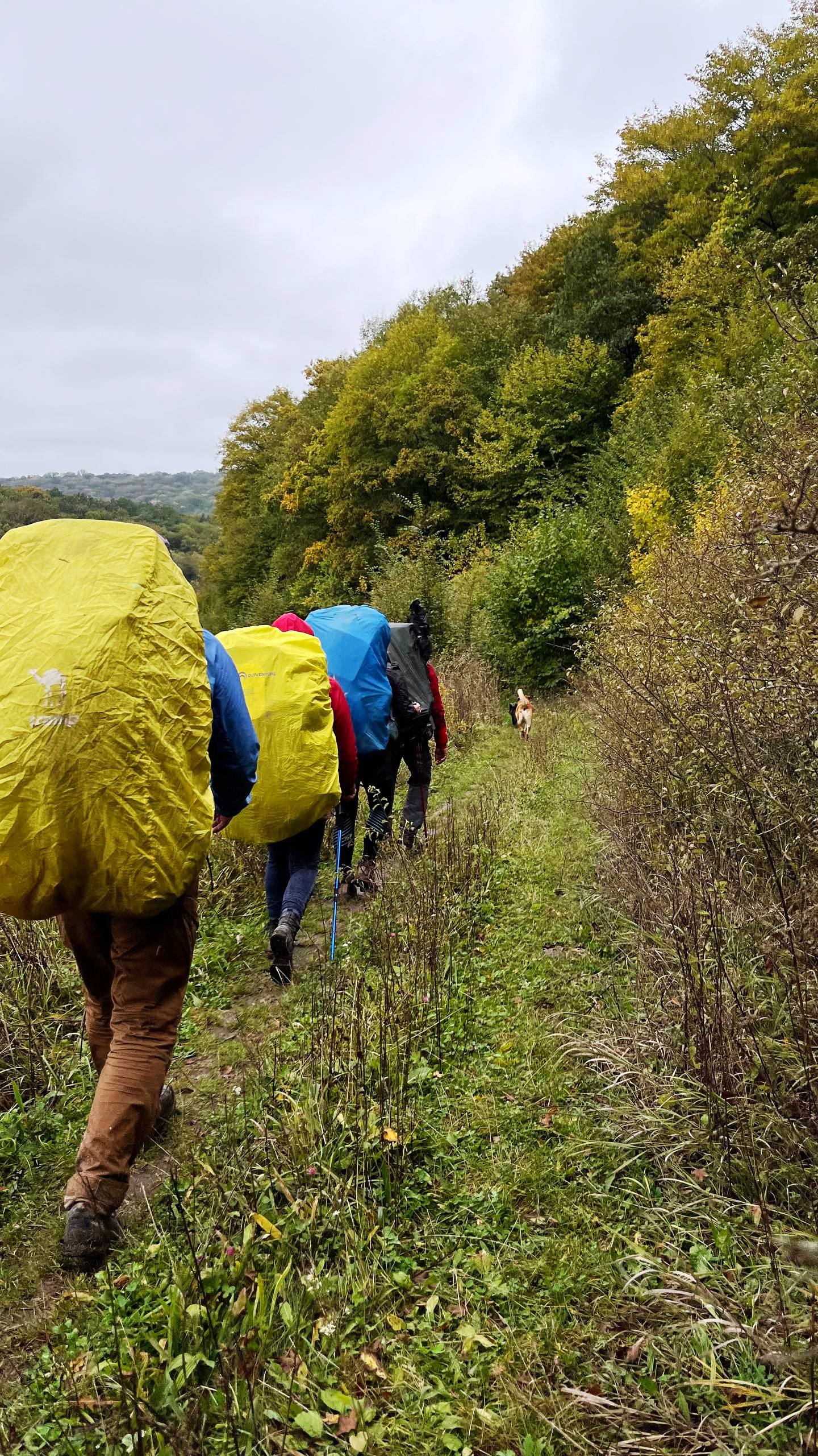 photo 2025 10 12 14 49 19