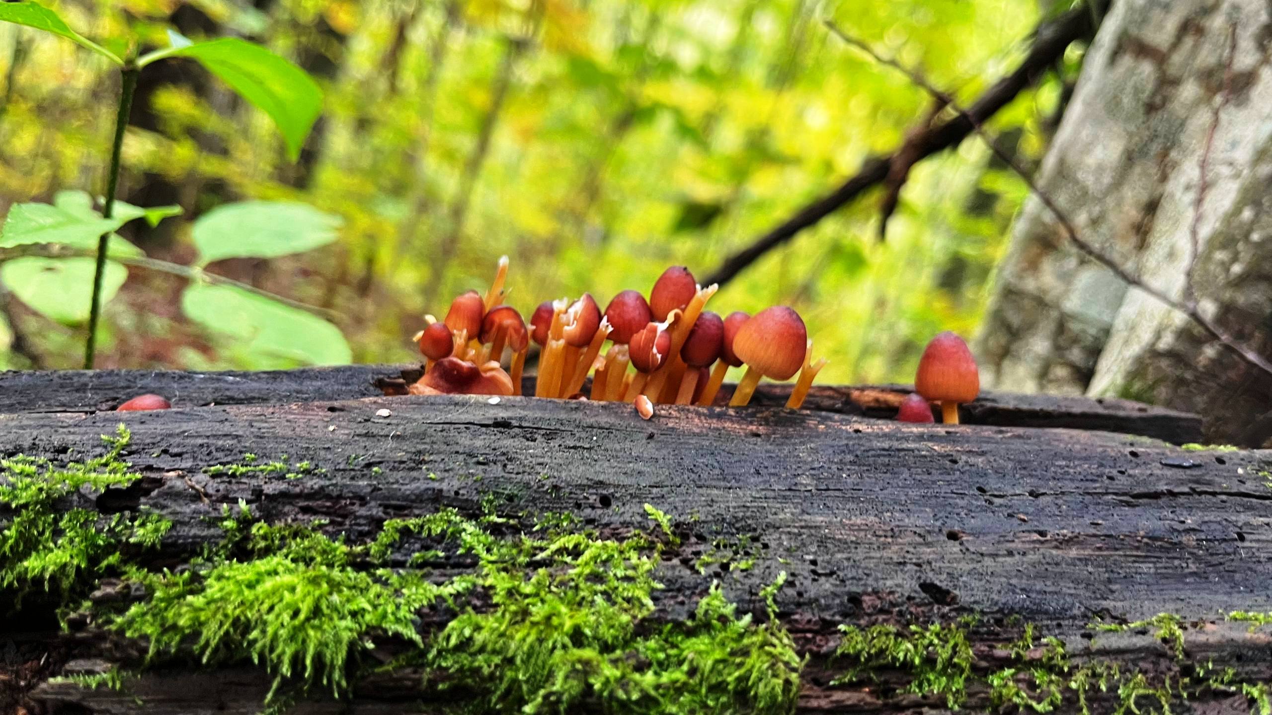 photo 2025 10 12 14 49 57