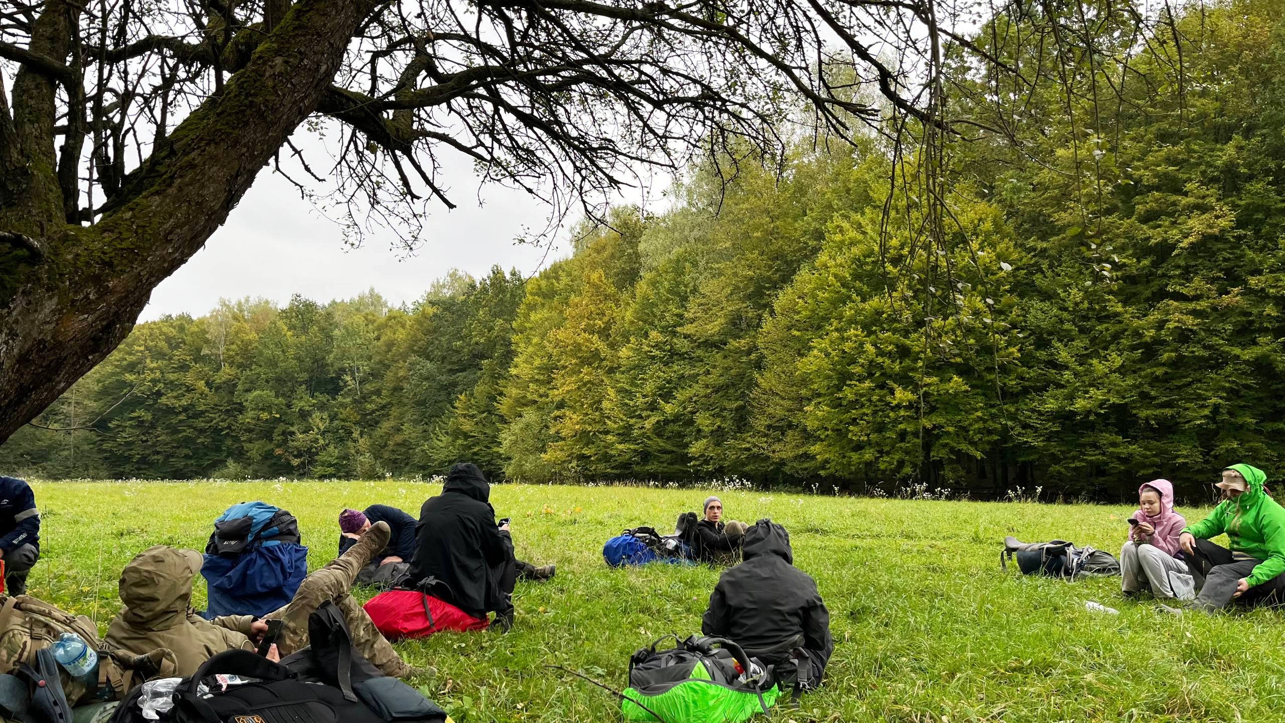 photo 2025 10 12 14 50 18