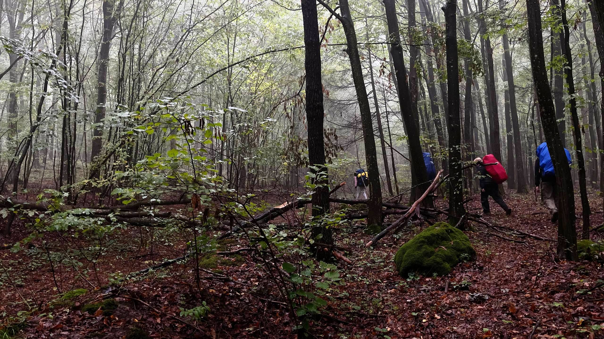 photo 2025 10 12 14 43 01