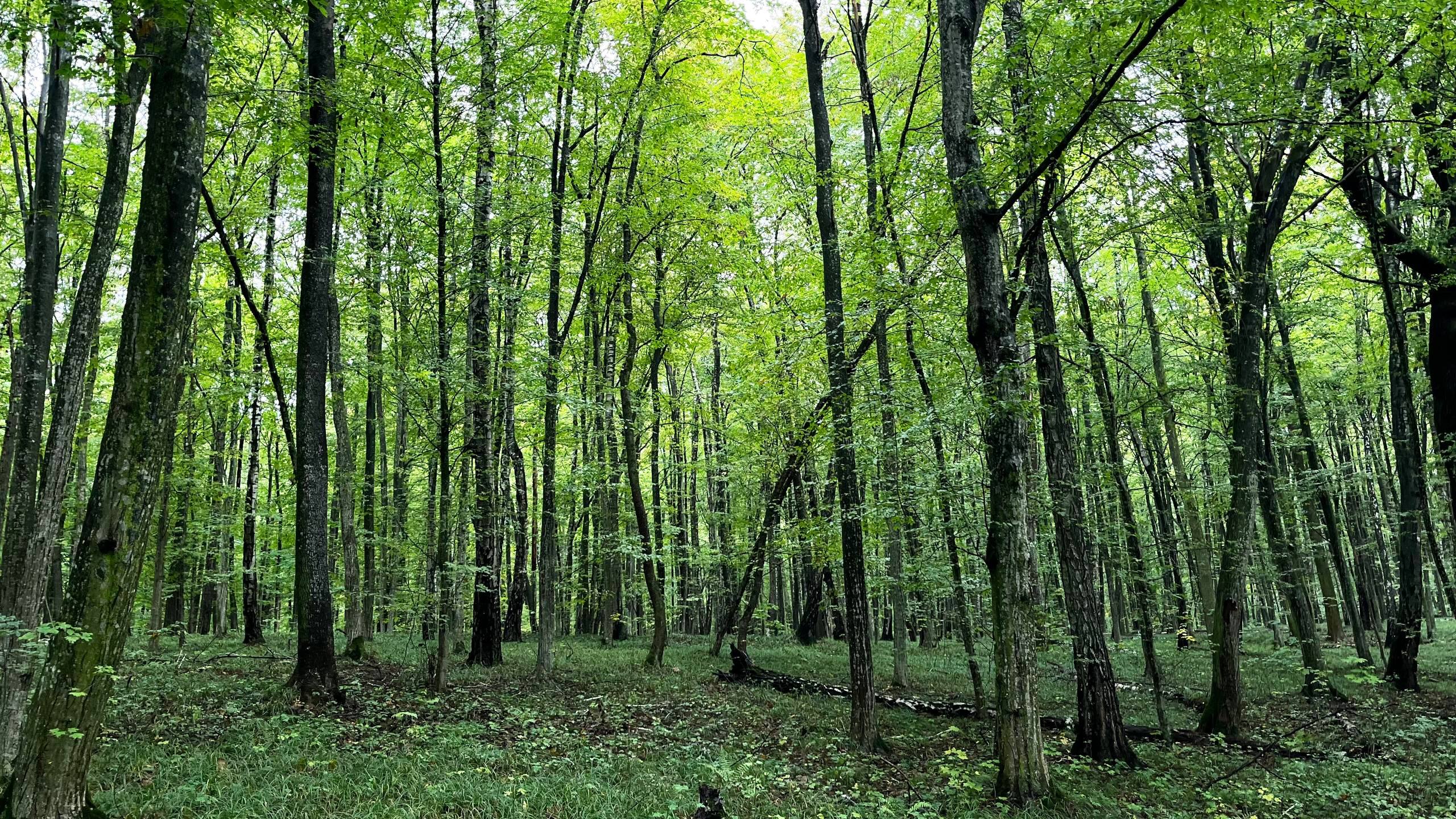 photo 2025 10 12 14 43 12