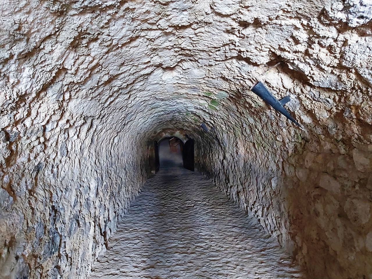 photo 2025 10 11 12 52 46