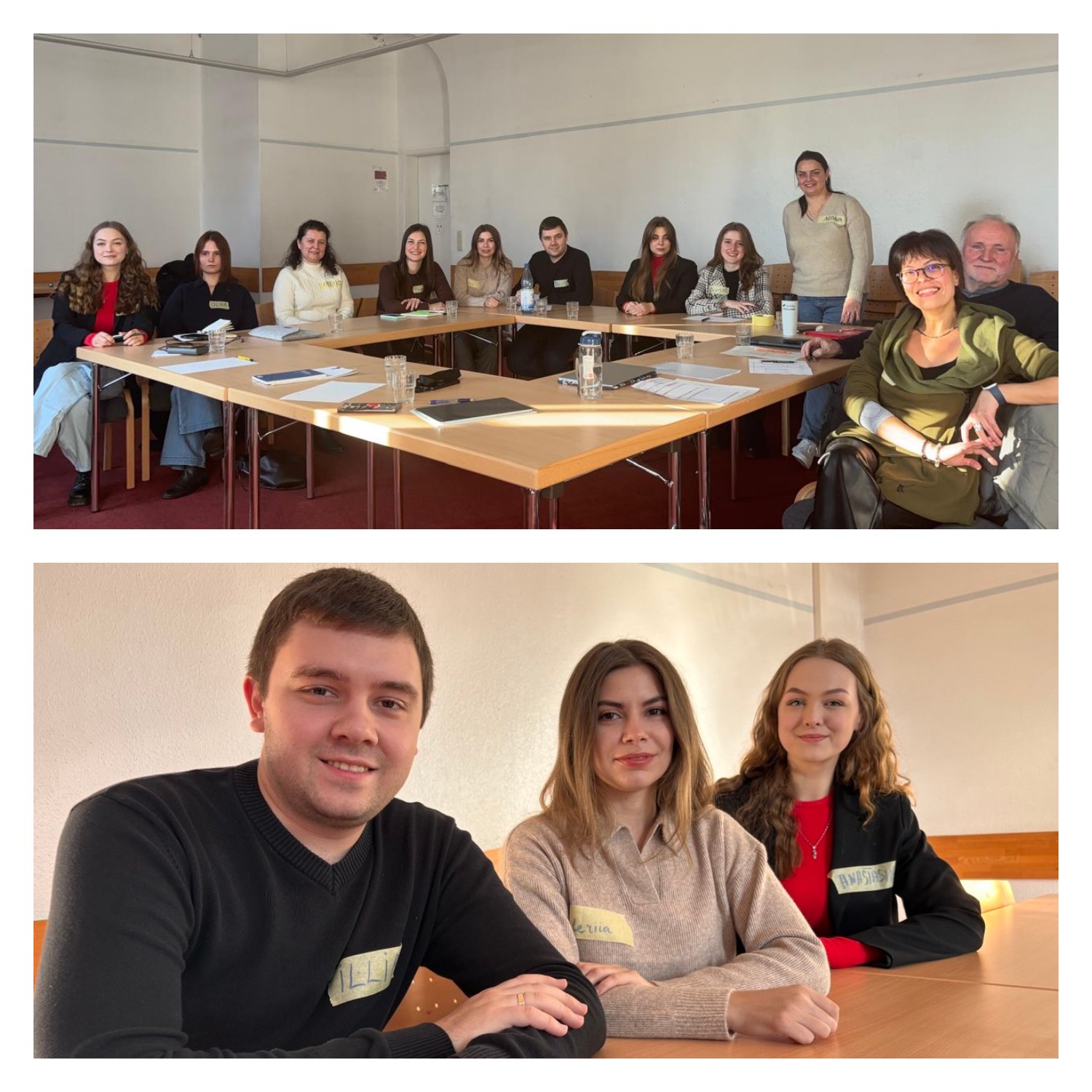 ССР стажування Лисоконь