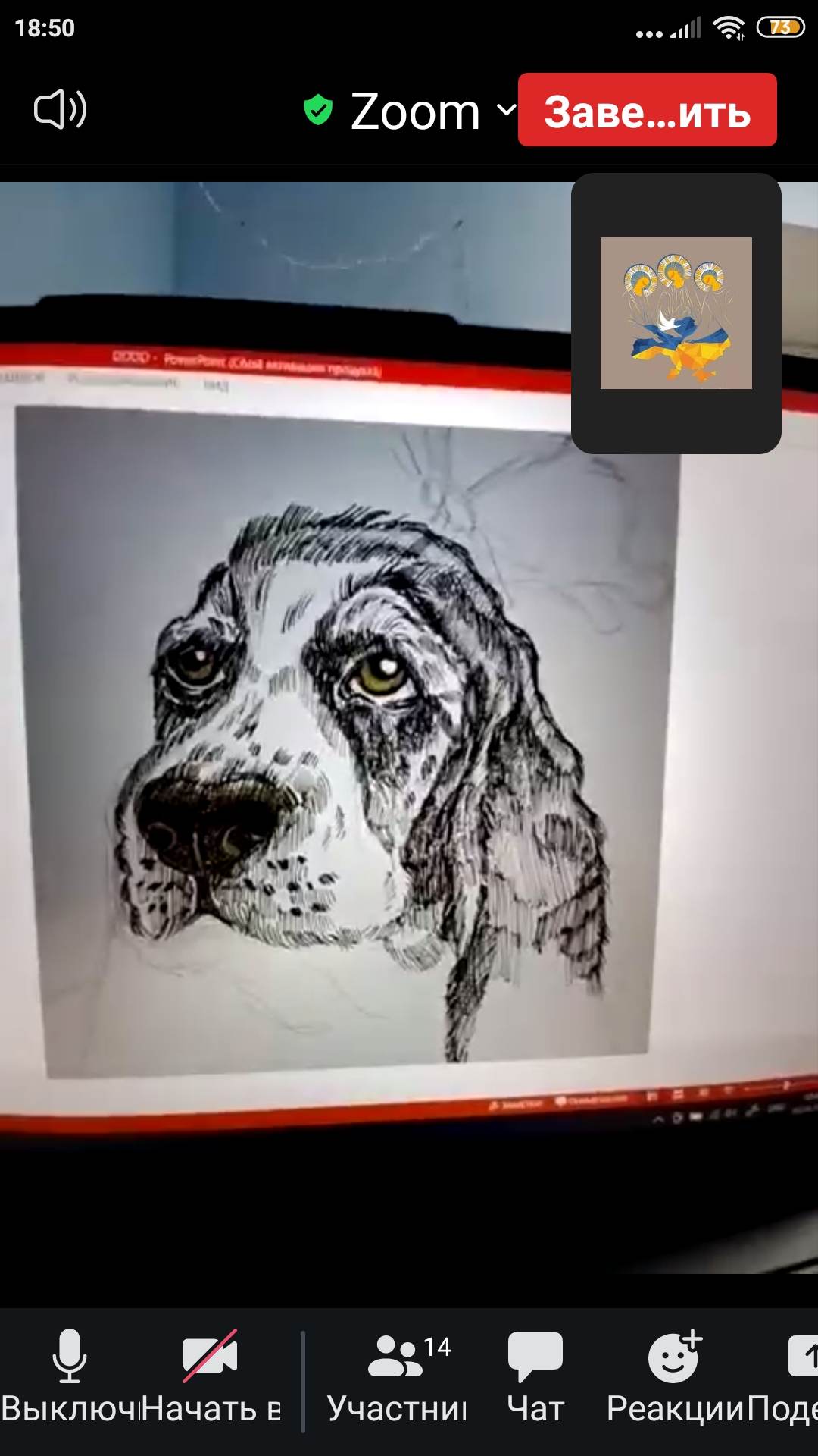 338261087 5905572769565344 4155546498194454063 n