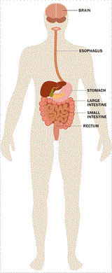 gastrointestinal-labels_tcm7-247083_w160_n.gif