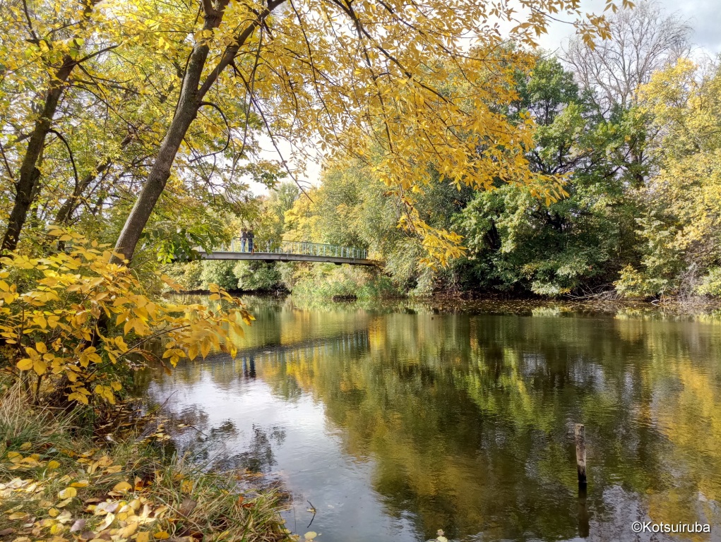 Парк Веселі Терни